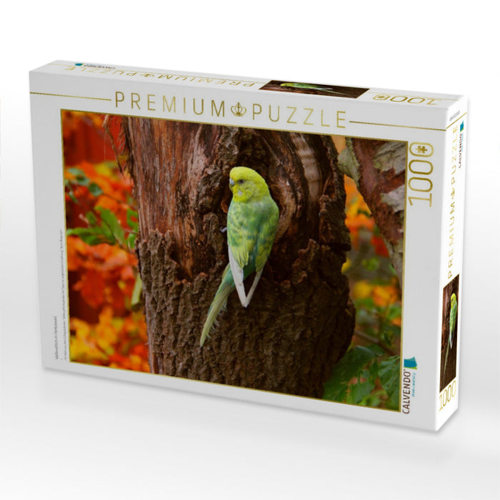 Wellensittich im Herbstwald - CALVENDO Foto-Puzzle'