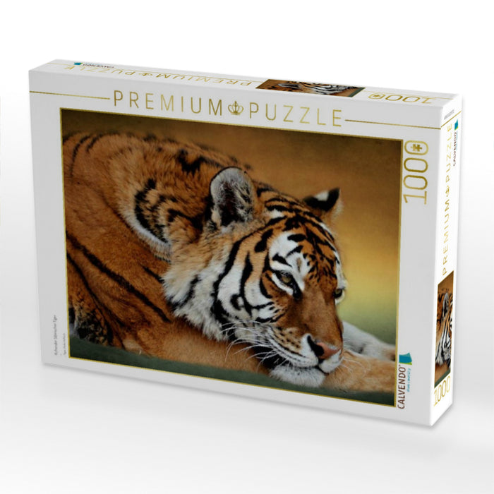 Ruhender Sibirischer Tiger - CALVENDO Foto-Puzzle'
