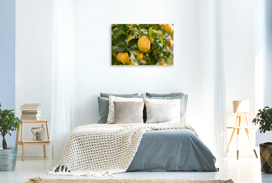 Premium Textil-Leinwand Premium Textil-Leinwand 120 cm x 80 cm quer Ein Motiv aus dem Kalender Emotionale Momente: Orangen und Zitronen.
