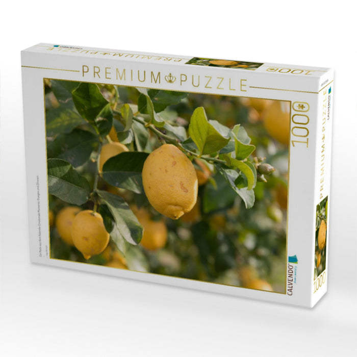 Ein Motiv aus dem Kalender Emotionale Momente: Orangen und Zitronen. - CALVENDO Foto-Puzzle'