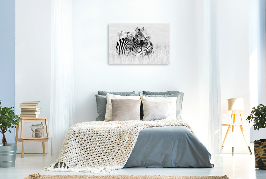 Premium Textil-Leinwand Premium Textil-Leinwand 120 cm x 80 cm quer Ein Motiv aus dem Kalender Emotionale Momente: Zebras - black and white.