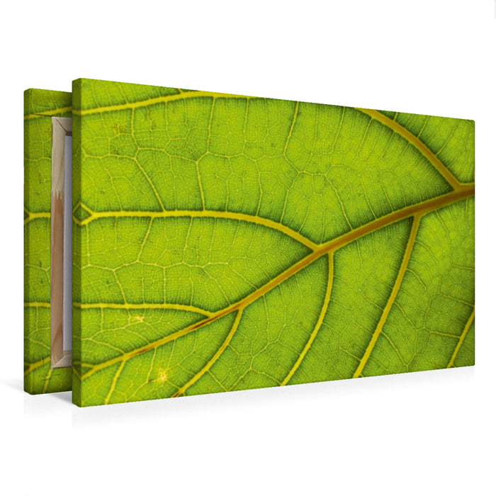 Premium Textil-Leinwand Blattkunst