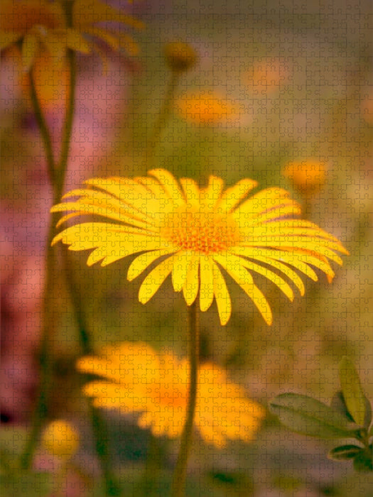 Gelbes zartes Sommerblümchen - CALVENDO Foto-Puzzle'