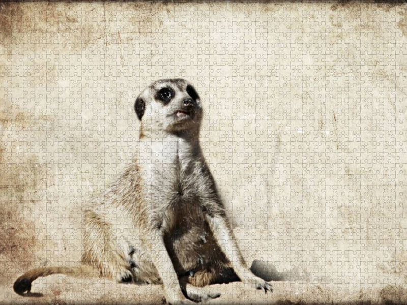 EinzahnErdhörnchen - CALVENDO Foto-Puzzle'