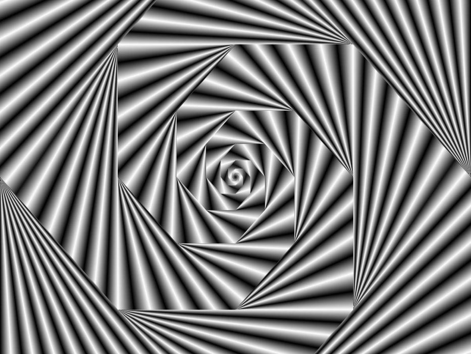 Zebra-Illusion - CALVENDO Foto-Puzzle'