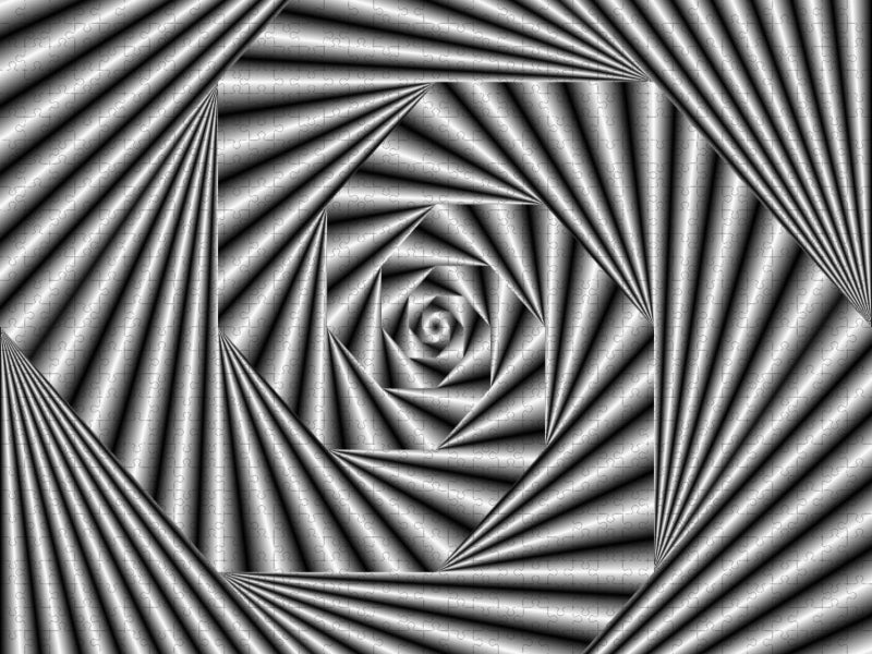 Zebra-Illusion - CALVENDO Foto-Puzzle'