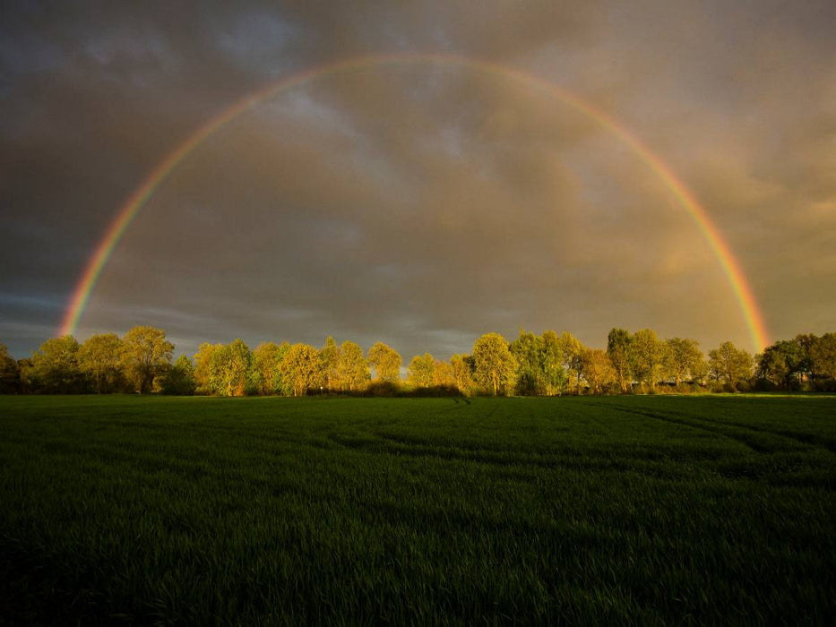 Regenbogen in Klein Wesenberg - CALVENDO Foto-Puzzle'