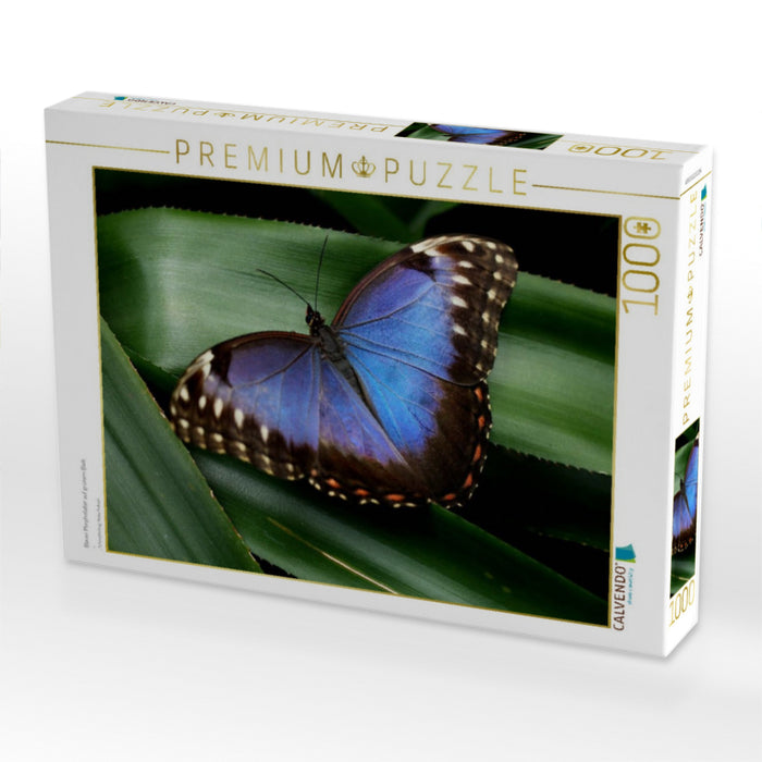 Blauer Morphofalter auf grünem Blatt - CALVENDO Foto-Puzzle'