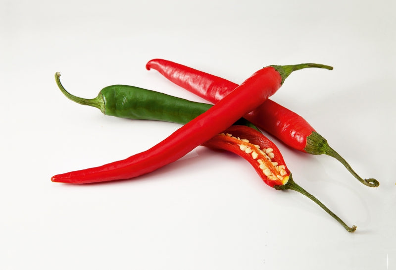 Premium Textil-Leinwand Chili