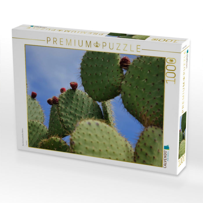 Opuntia Leucotricha, Mexico - CALVENDO Foto-Puzzle'