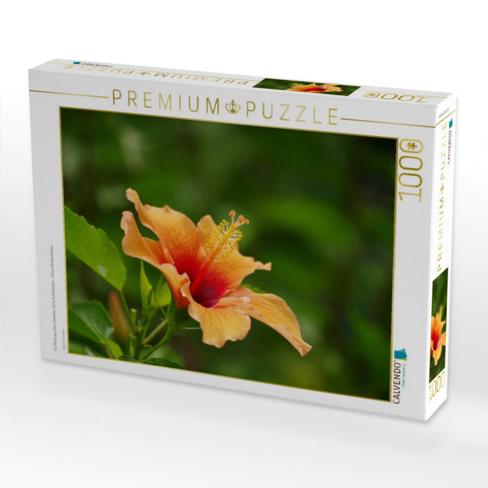 Ein Motiv aus dem Kalender Zarte Schönheiten - Feine Hibiskusblüten - CALVENDO Foto-Puzzle'
