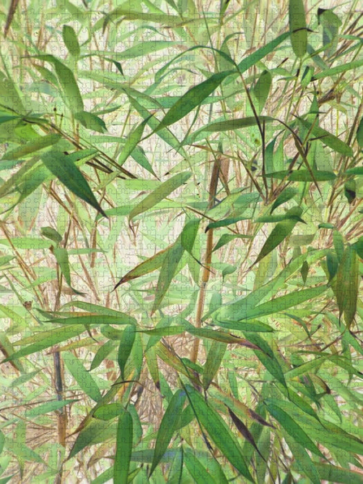 Belebender Bambus - CALVENDO Foto-Puzzle'