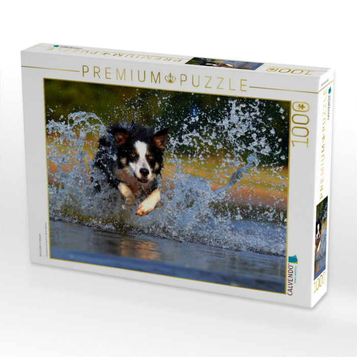Hund tobt im Wasser - CALVENDO Foto-Puzzle'