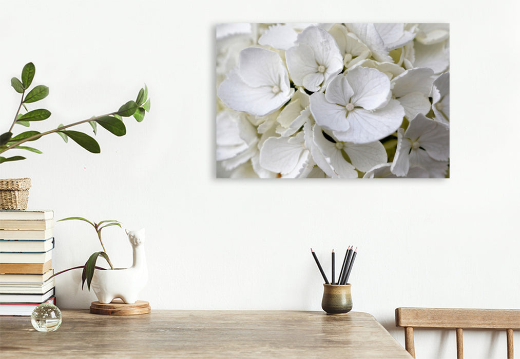 Toile textile premium Toile textile premium 120 cm x 80 cm paysage hortensia paysan blanc 