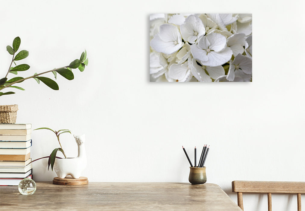 Toile textile premium Toile textile premium 120 cm x 80 cm paysage hortensia paysan blanc 