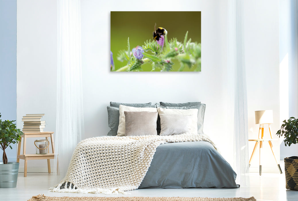 Premium Textil-Leinwand Premium Textil-Leinwand 120 cm x 80 cm quer Fleißiges Bienchen in der Natur