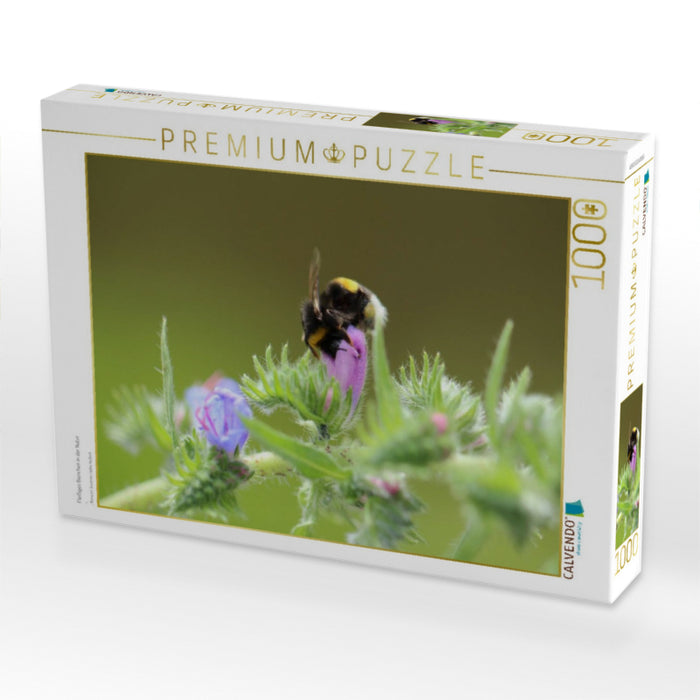 Fleißiges Bienchen in der Natur - CALVENDO Foto-Puzzle'