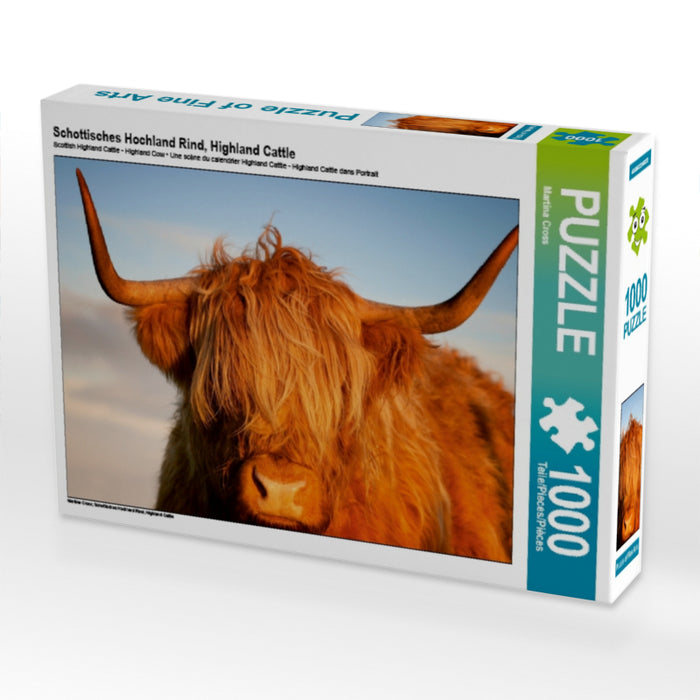Schottisches Hochland Rind, Highland Cattle 1000 Teile Puzzle quer - CALVENDO Foto-Puzzle'