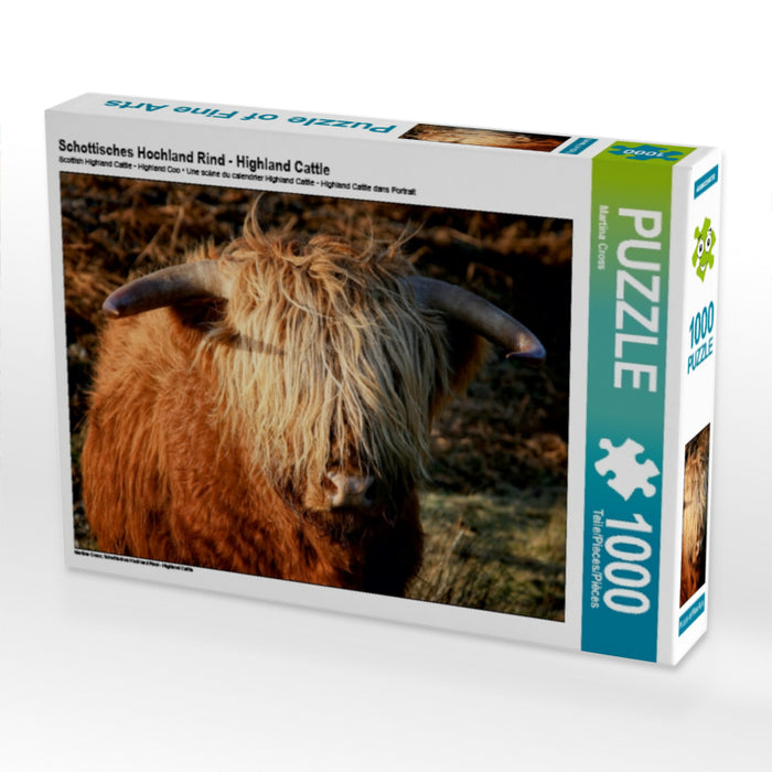 Schottisches Hochland Rind - Highland Cattle 1000 Teile Puzzle quer - CALVENDO Foto-Puzzle'