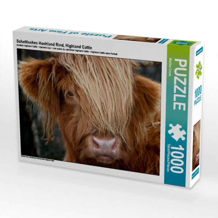Schottisches Hochland Rind, Highland Cattle 1000 Teile Puzzle quer - CALVENDO Foto-Puzzle'