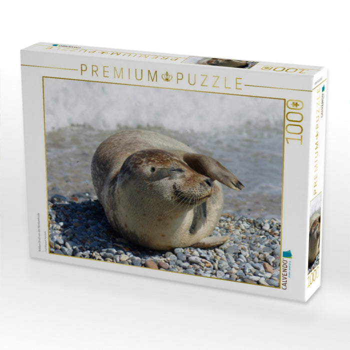 Robben Gruß von der Nordseeküste - CALVENDO Foto-Puzzle'