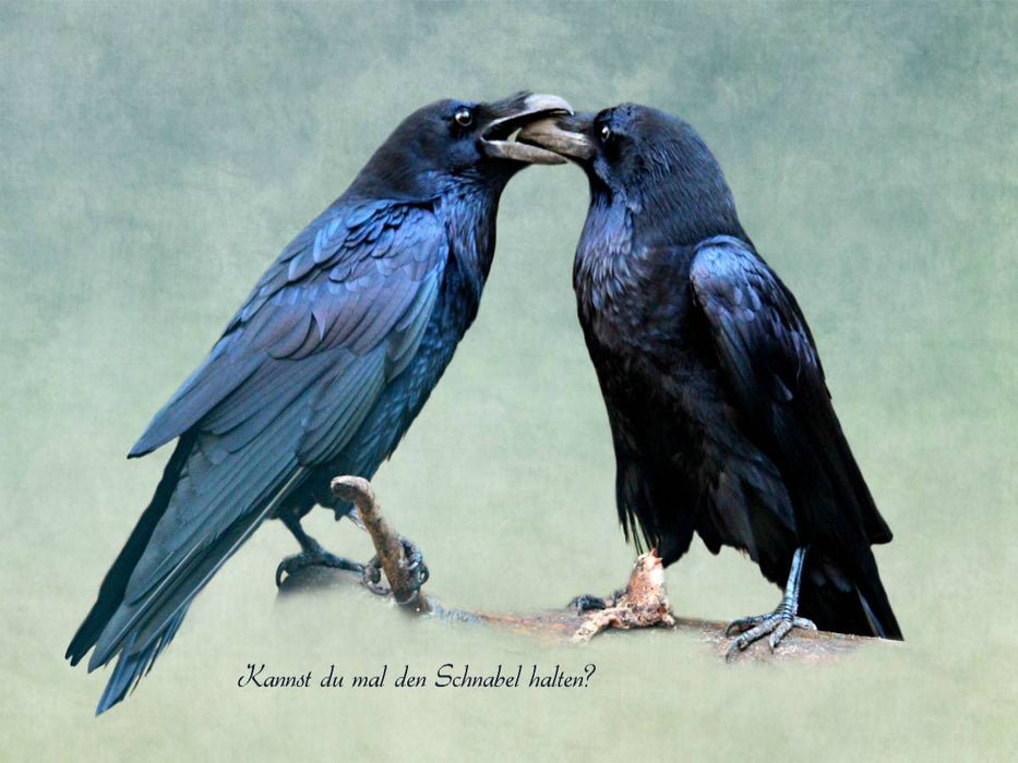Kannst du mal den Schnabel halten? - CALVENDO Foto-Puzzle'