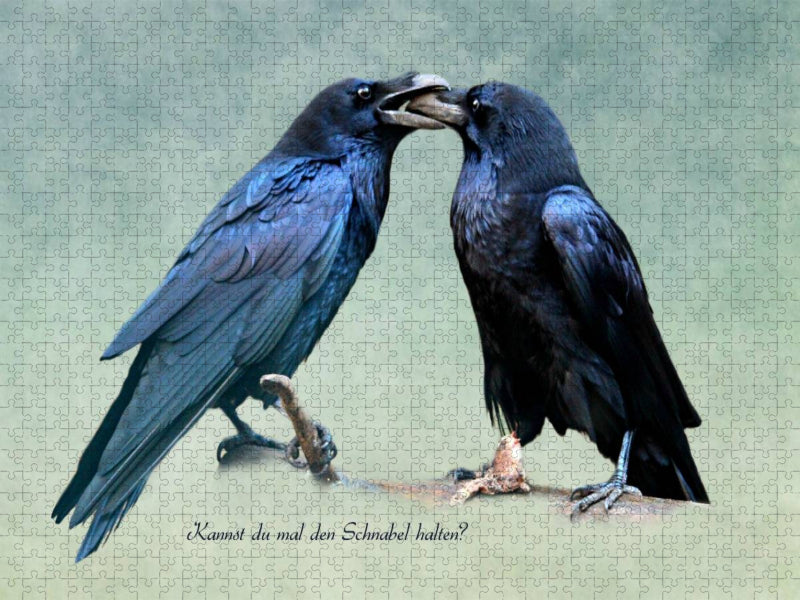 Kannst du mal den Schnabel halten? - CALVENDO Foto-Puzzle'