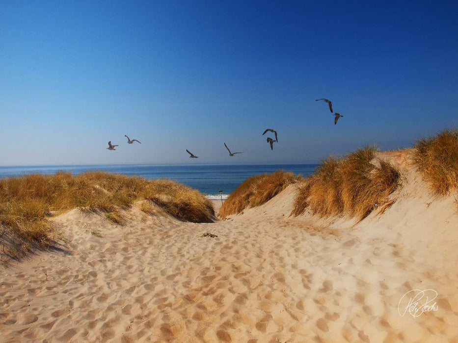 Dünen an der Nordsee - CALVENDO Foto-Puzzle'