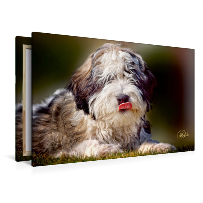 Premium Textil-Leinwand Der PON