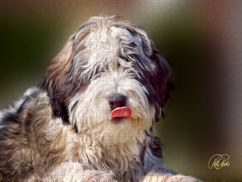 Der PON - CALVENDO Foto-Puzzle'