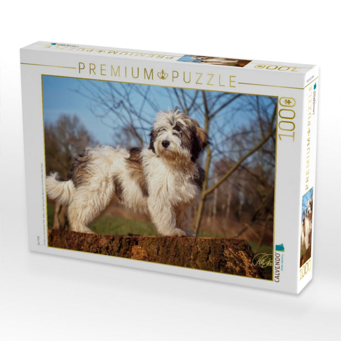 Der PON - CALVENDO Foto-Puzzle'