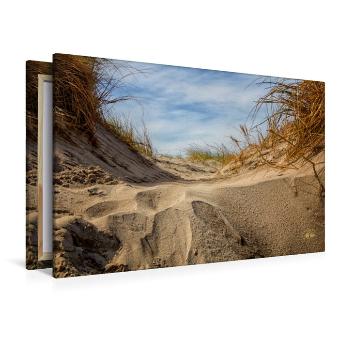 Premium Textil-Leinwand Nordsee-Dünen