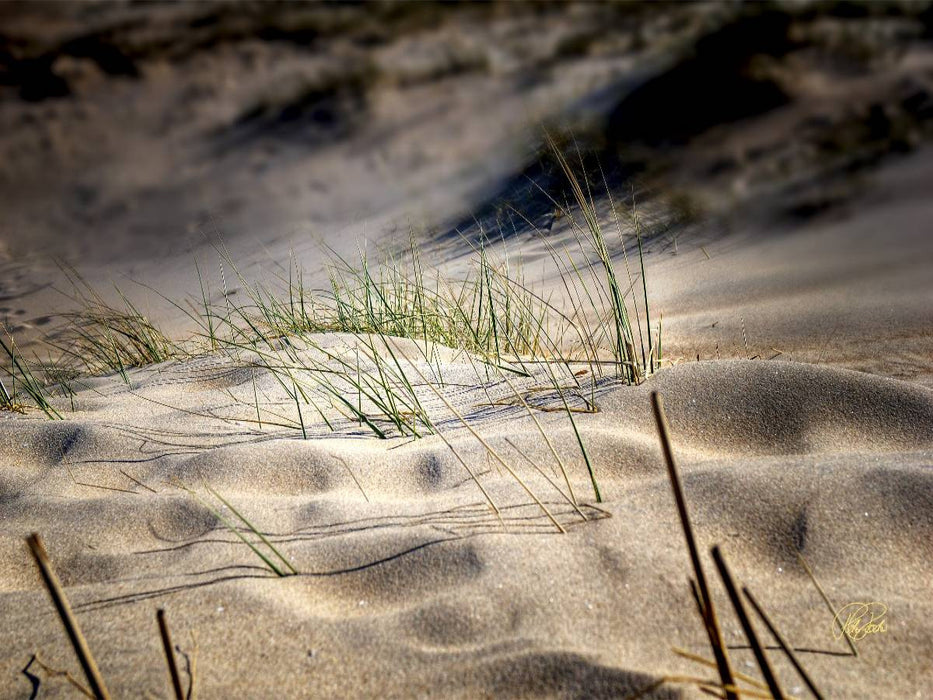 Nordsee-Dünen - CALVENDO Foto-Puzzle'