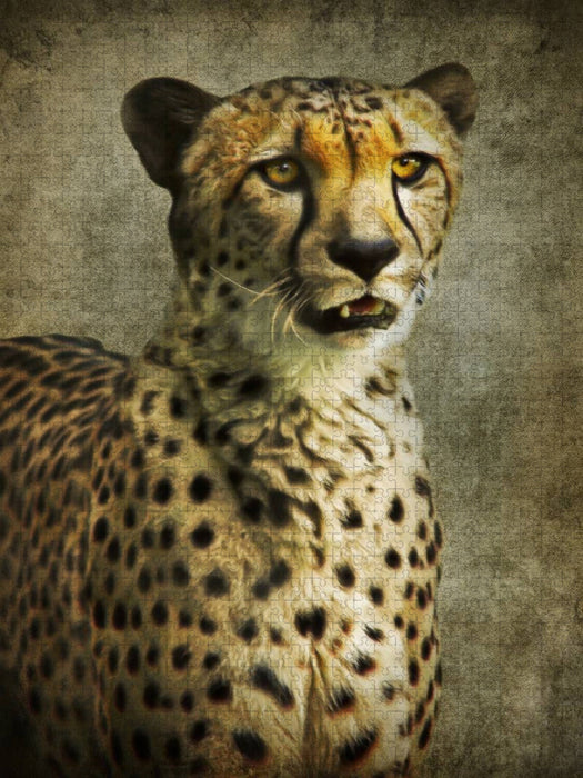 Gepard - CALVENDO Foto-Puzzle'