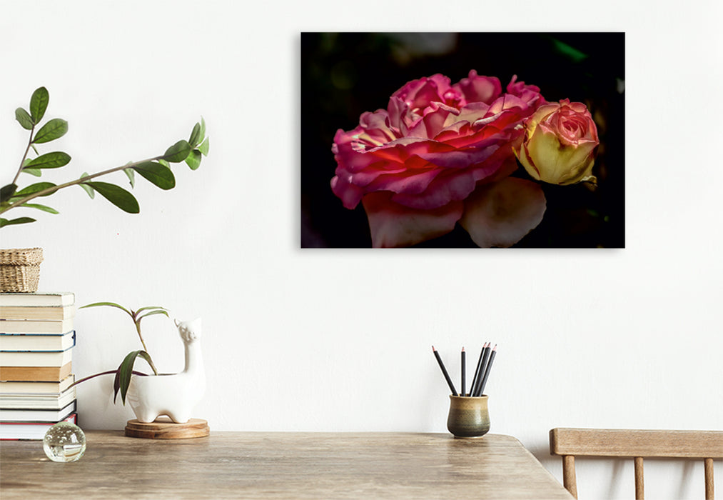 Toile textile premium Toile textile premium 120 cm x 80 cm paysage rose grimpante Romantica 