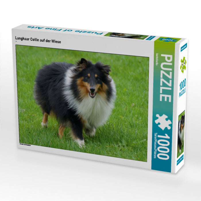 Langhaar Collie auf der Wiese 1000 Teile Puzzle quer - CALVENDO Foto-Puzzle'