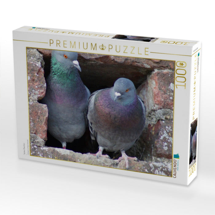 Tauben Päarchen - CALVENDO Foto-Puzzle'