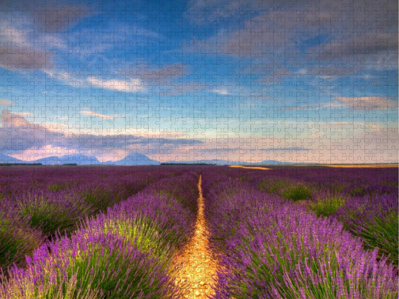 Lavendelfelder auf dem Valensole Plateau - CALVENDO Foto-Puzzle'