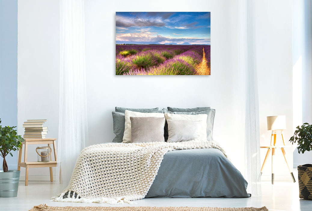 Premium Textil-Leinwand Premium Textil-Leinwand 120 cm x 80 cm quer Lavendelfelder auf dem Valensole Plateau im Sommer