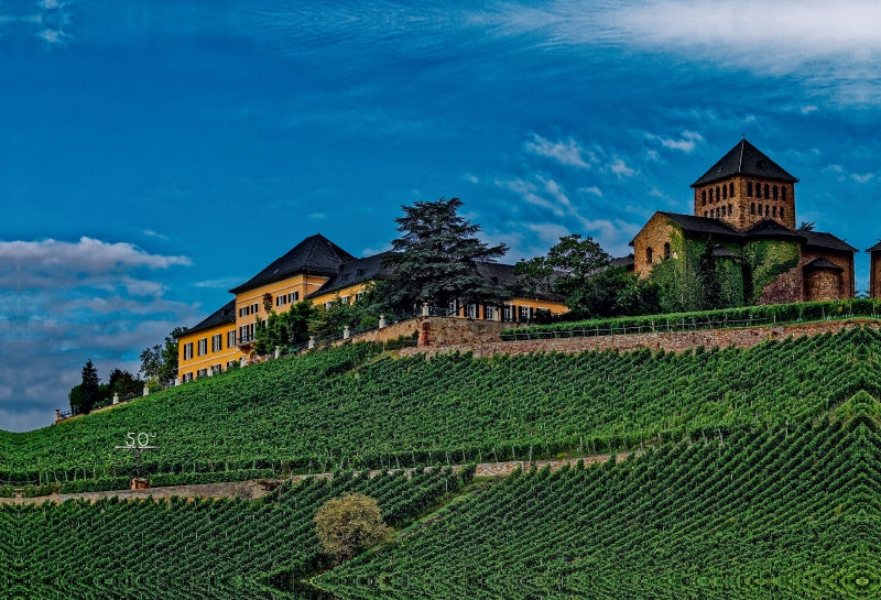 Premium Textil-Leinwand Schloss Johannisberg mit Basilika