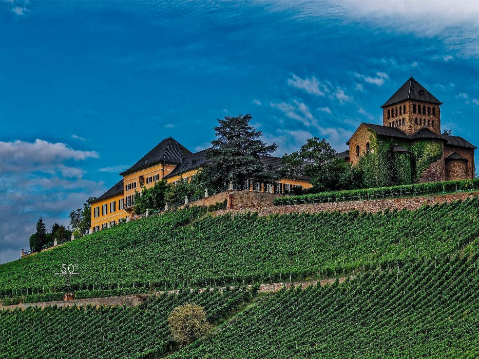 Schloss Johannisberg mit Basilika - CALVENDO Foto-Puzzle'
