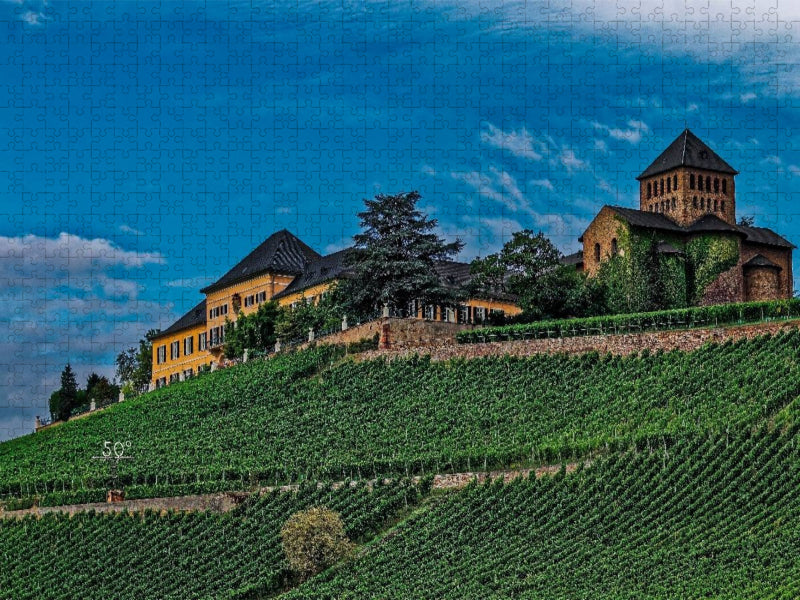 Schloss Johannisberg mit Basilika - CALVENDO Foto-Puzzle'