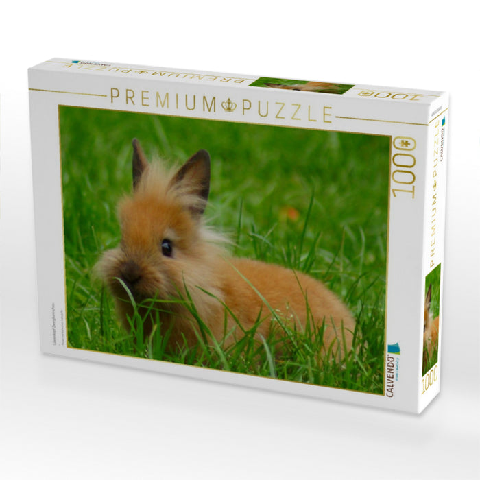 Löwenkopf Zwergkaninchen - CALVENDO Foto-Puzzle'