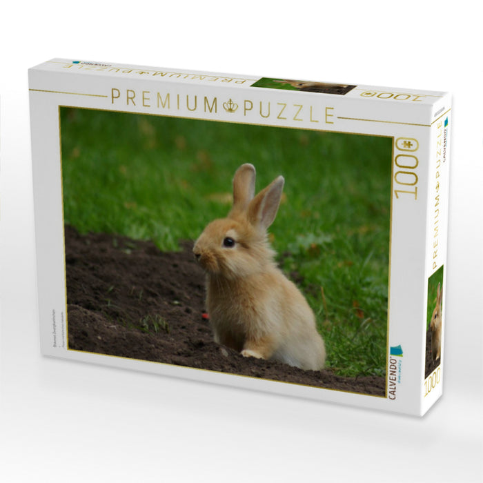 Braunes Zwergkaninchen - CALVENDO Foto-Puzzle'