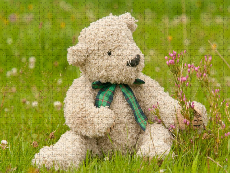 Ein Motiv aus dem Kalender Geliebte Bären - Teddys - CALVENDO Foto-Puzzle'