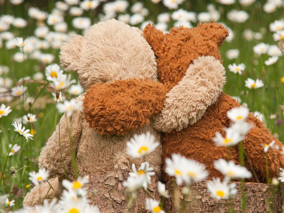 Kuschelbär - CALVENDO Foto-Puzzle'