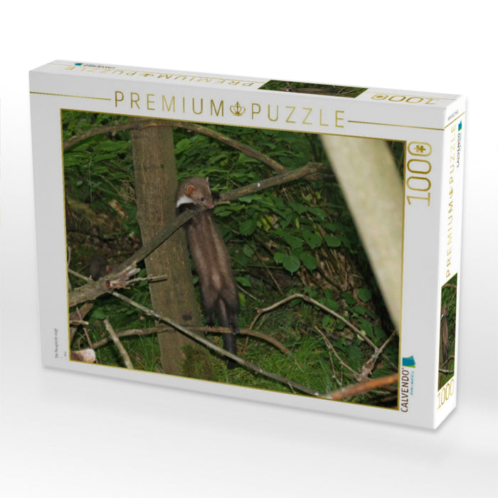 Die Neugierde siegt - CALVENDO Foto-Puzzle'