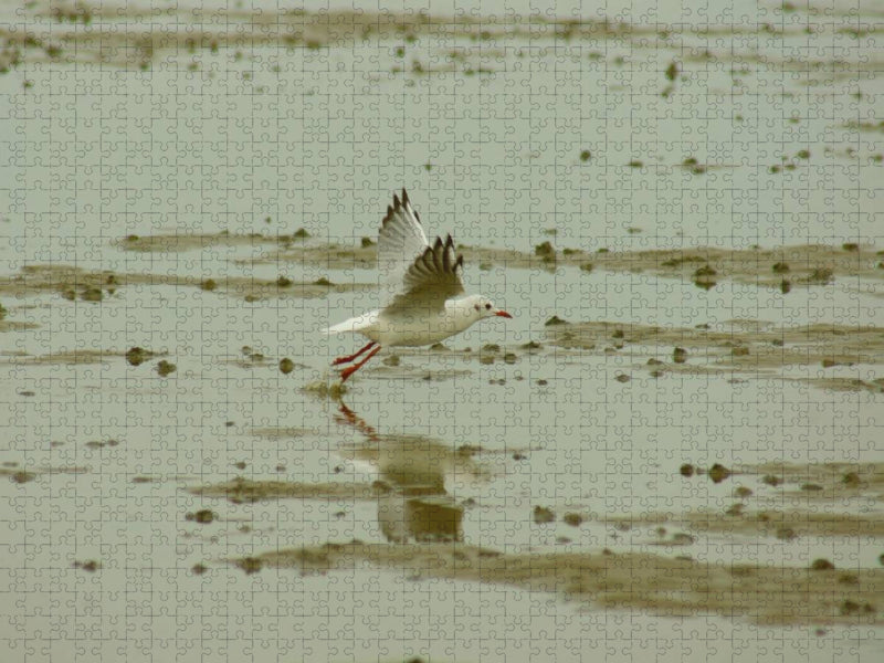 Möwe übern Wattenmeer - CALVENDO Foto-Puzzle'