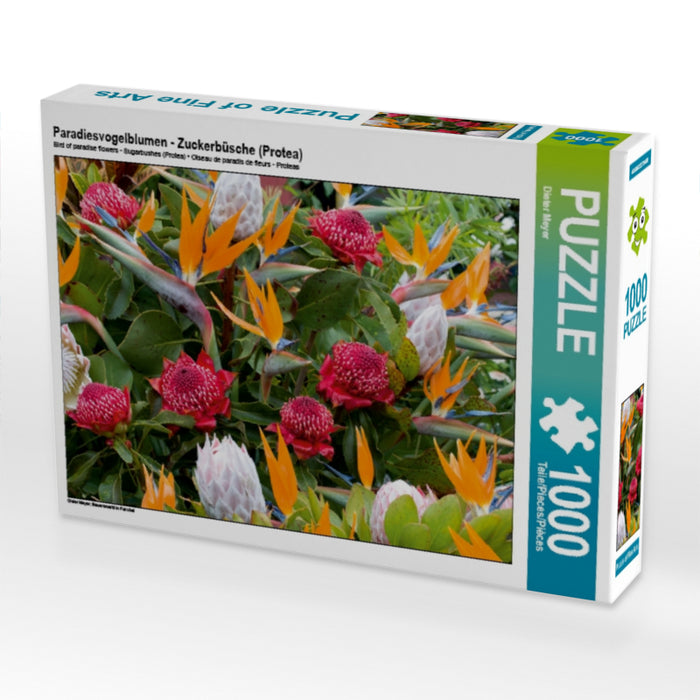 Bird of paradise flowers - sugar bushes (Protea) - CALVENDO photo puzzle 
