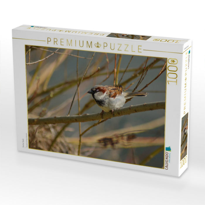 Frecher Spatz - CALVENDO Foto-Puzzle'